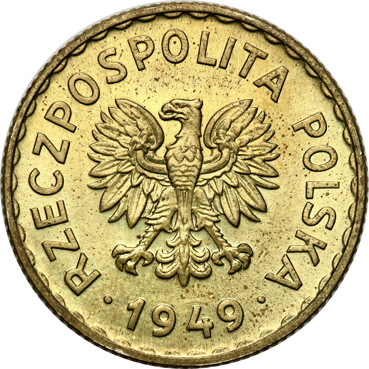 PRÓBA mosiądz 1 złoty 1949 - NAKŁAD 100 sztuk